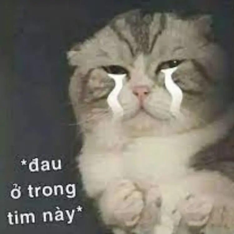 Meme đau ở đây này 20