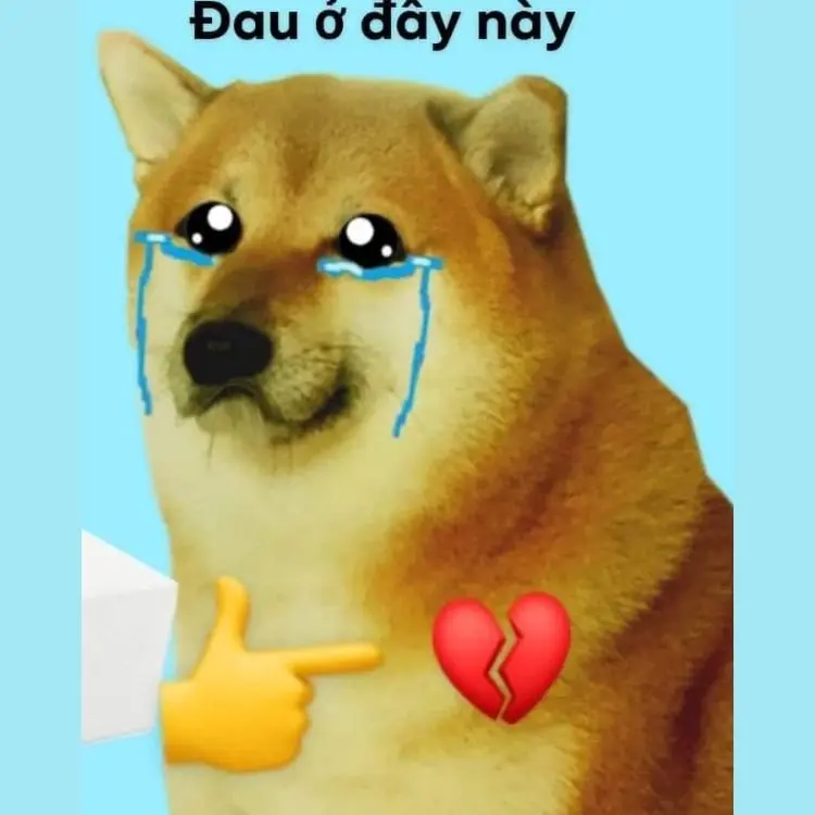 Meme đau ở đây này 11