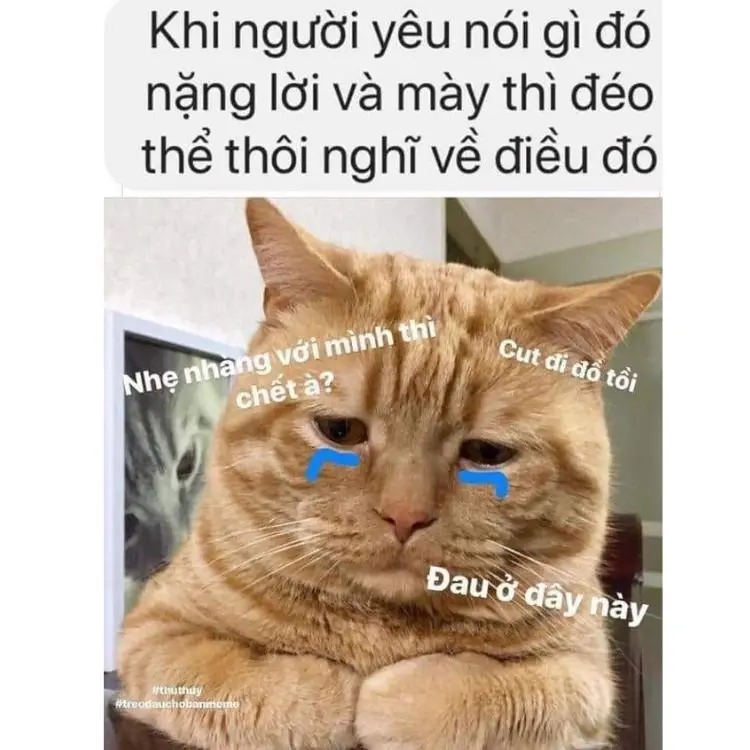 Meme đau ở đây này 12