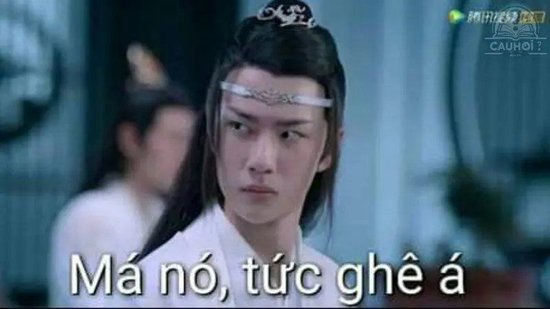 Tổng hợp 7749 meme bất lực cực kì hài hước và sáng tạo