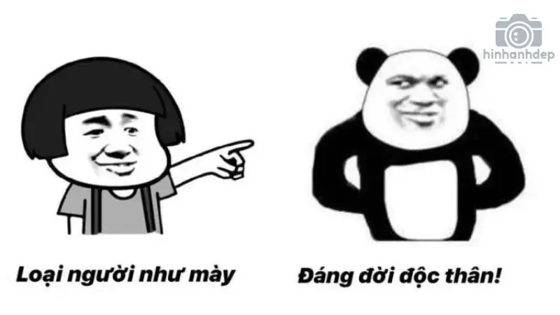 Chiếm ngay ưu thế với 99+ meme chửi cực gắt mới nhất