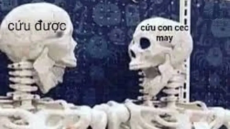 Tổng hợp 50+ meme còn cứu được hài hước cười chảy nước mắt