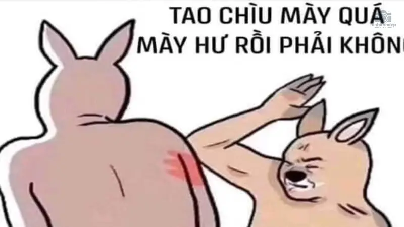 Tổng hợp 69+ meme đấm nhau hài hước, thú vị và độc đáo