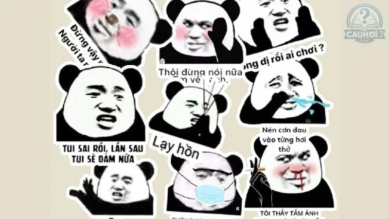 Top 33+ meme hài hước vui nhộn được sử dụng nhiều nhất