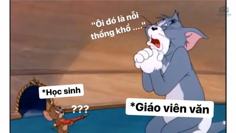 Lưu ngay về máy 50+ meme hoạt hình hài hước và thú vị nhất