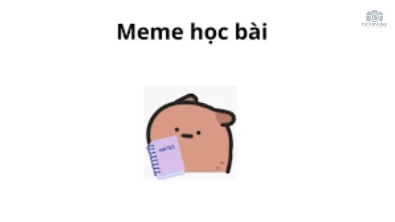 Lưu ngay về máy 50+ meme học bài độc đáo và hái hước nhất