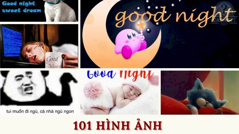 Tổng hợp 69+ meme ngủ ngon hài hước và thú vị nhất