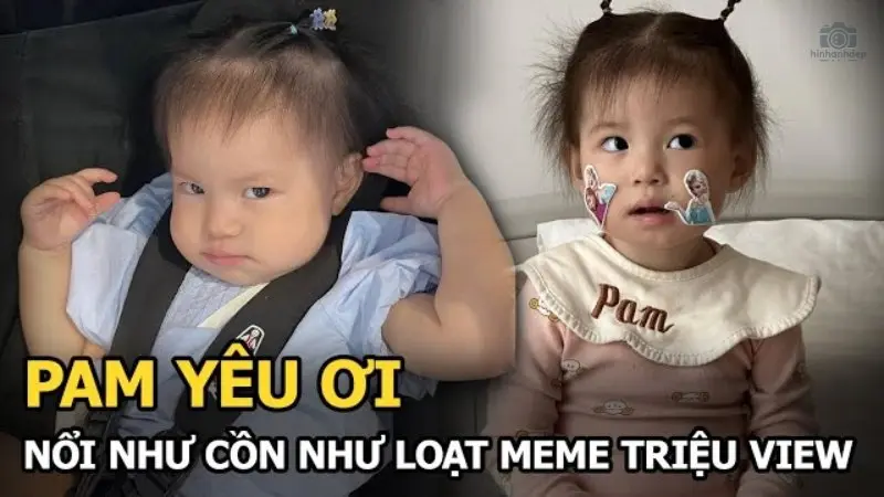 Tổng hợp 50+ meme Pam hài hước và đáng yêu nhất trên MXH