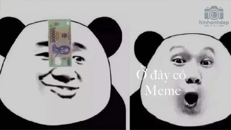 Tổng hợp 99+ Panda meme hài hước cười chảy nước mắt