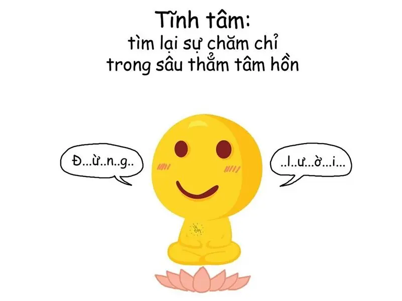 Tổng hợp 50+ meme tịnh tâm hài hước và độc đáo nhất