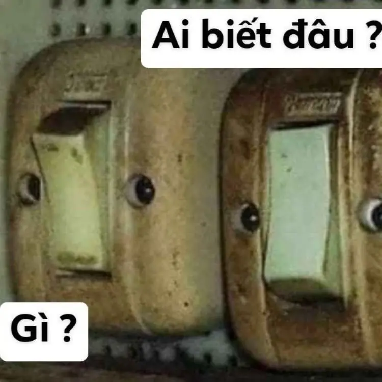 Meme ai biết gì đâu 02