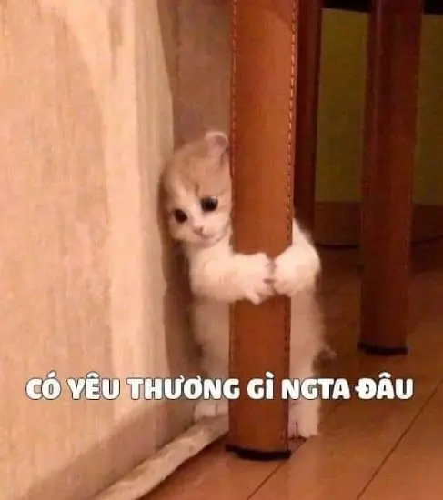 Meme dỗi 06