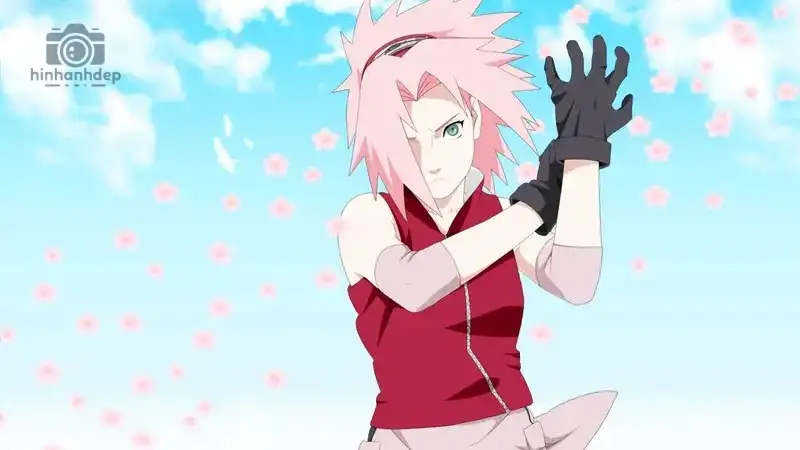 100+ ảnh Sakura Haruno chất lượng cao cho fan Naruto