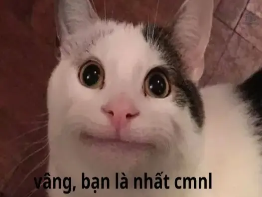 Lưu ngay về máy 30+ bạn là nhất meme hài hước nhất trên MXH