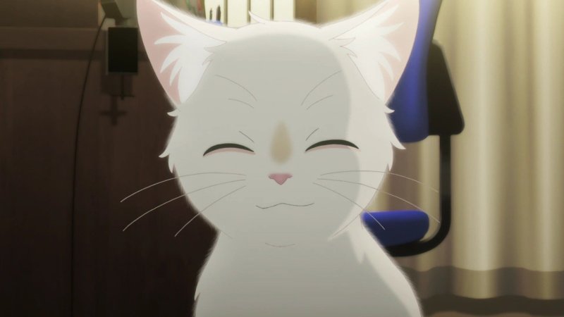 Ảnh anime cute về động vật 18