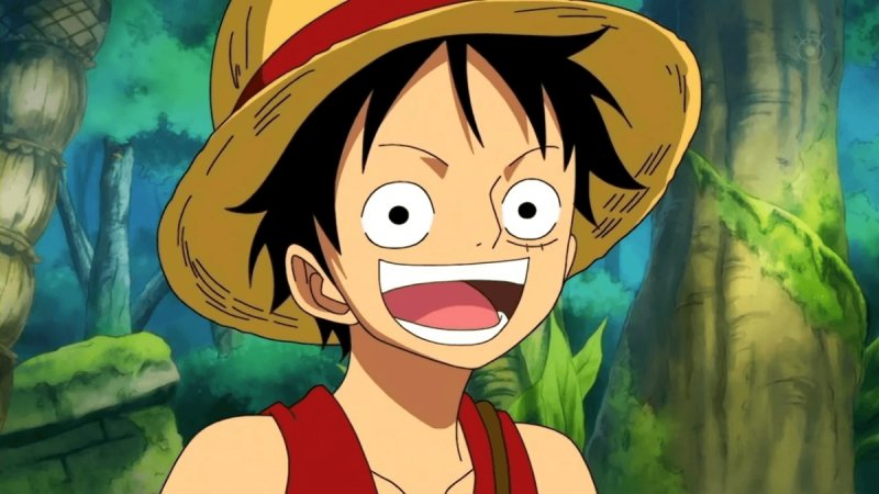 Ảnh anime Luffy dễ thương 22