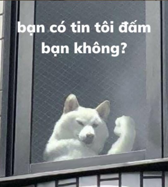 Ảnh đại diện meme 05