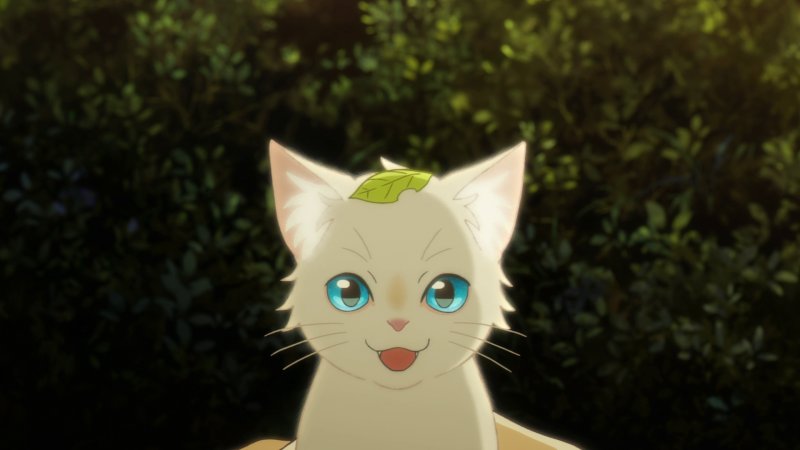 Ảnh anime mèo  4
