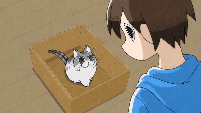 Ảnh anime mèo 8