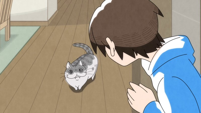 Ảnh anime mèo  9