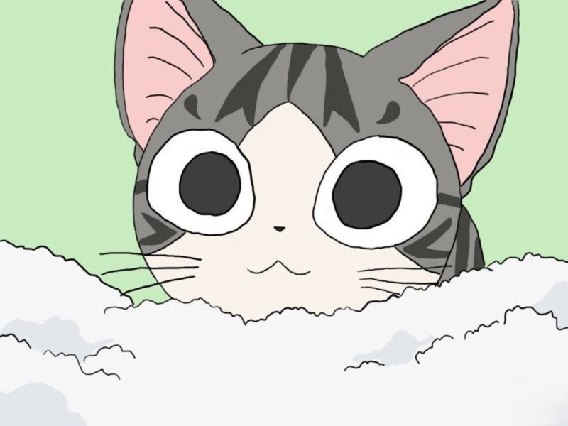 Ảnh anime mèo  15