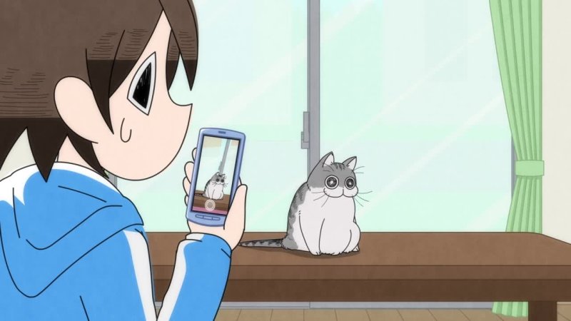 Ảnh anime mèo  18