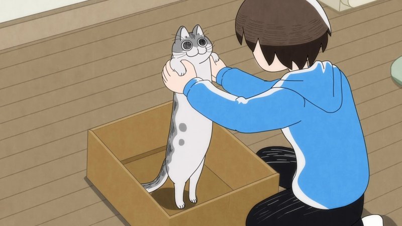 Ảnh anime mèo  23