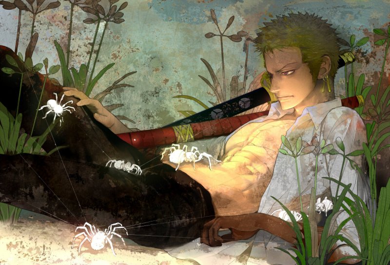 Ảnh anime zoro ngầu 15