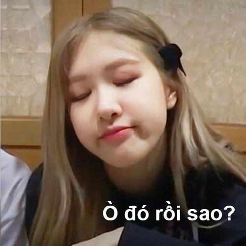 Blackpink meme 28