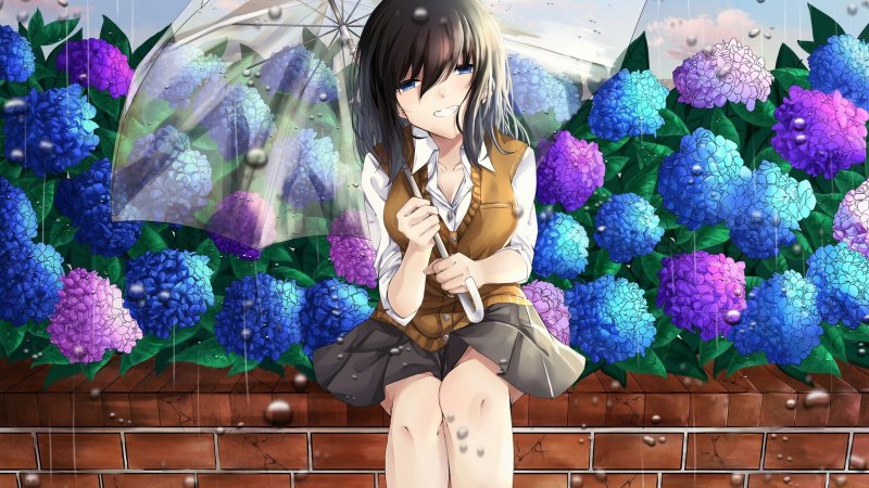 Hoa cẩm tú cầu anime3