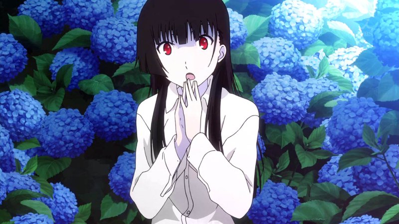 Hoa cẩm tú cầu anime1