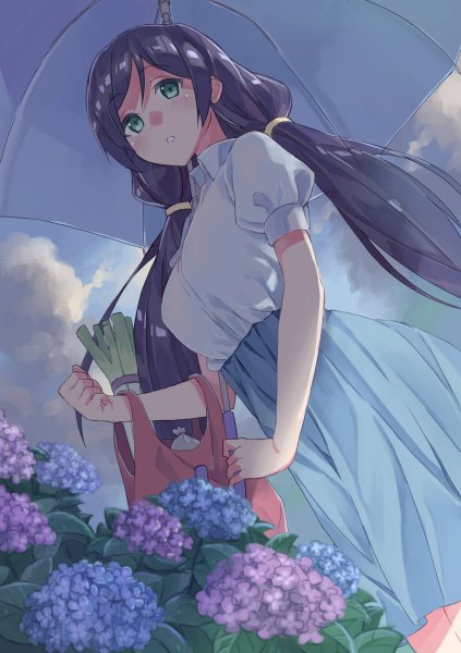 Hoa cẩm tú cầu anime7