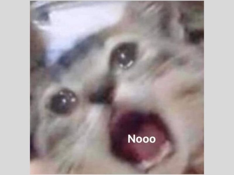 Crying cat meme 35