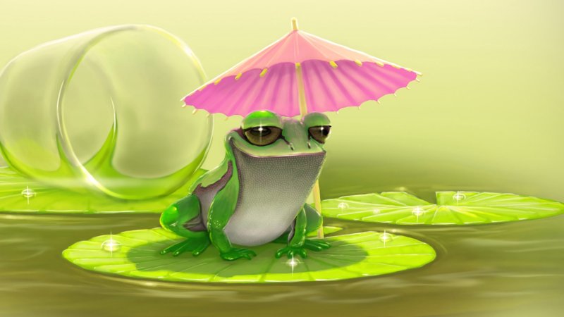 avatar ếch cute 3