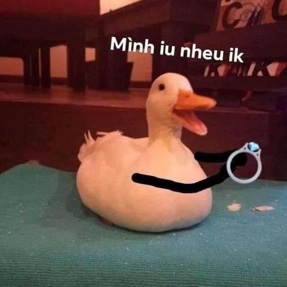 Duck meme 22