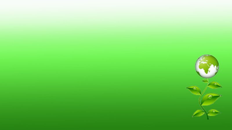 Hình nền xanh lá cây cho máy tính 17