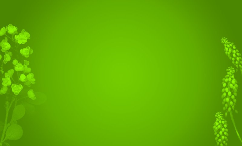 Hình nền xanh lá cây cho máy tính 26
