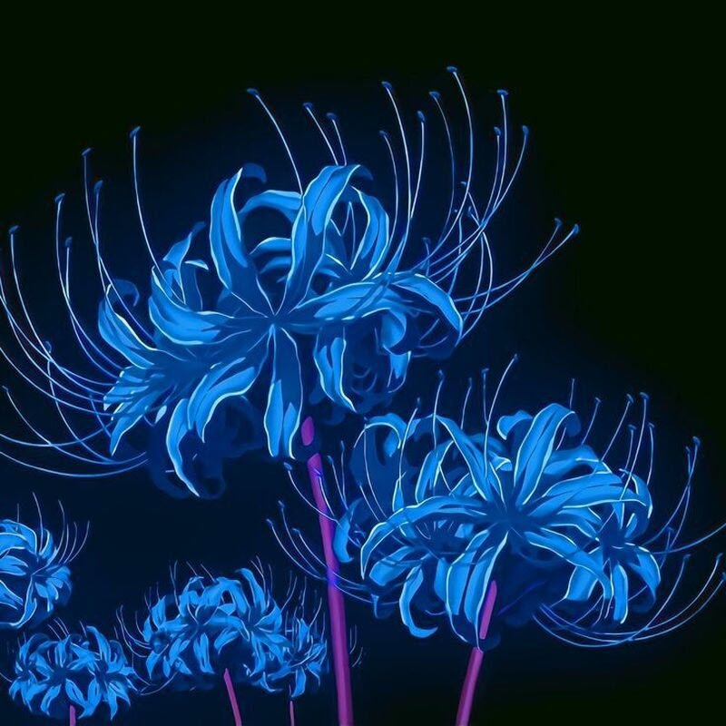 Hoa bỉ ngạn xanh 8