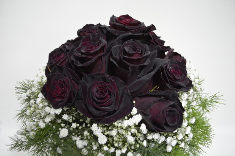 Hoa hồng đen 6