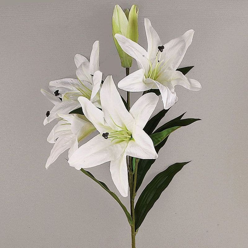 Hoa loa kèn trắng 12