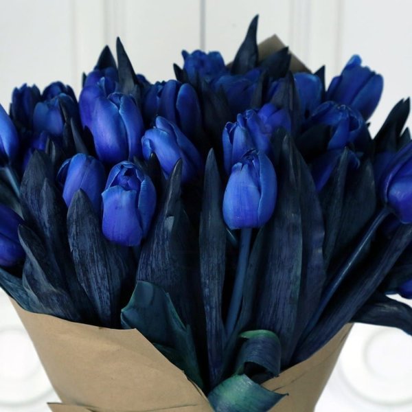 Hoa tulip xanh 3