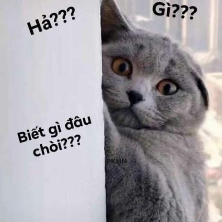 Meme ai biết gì đâu 17