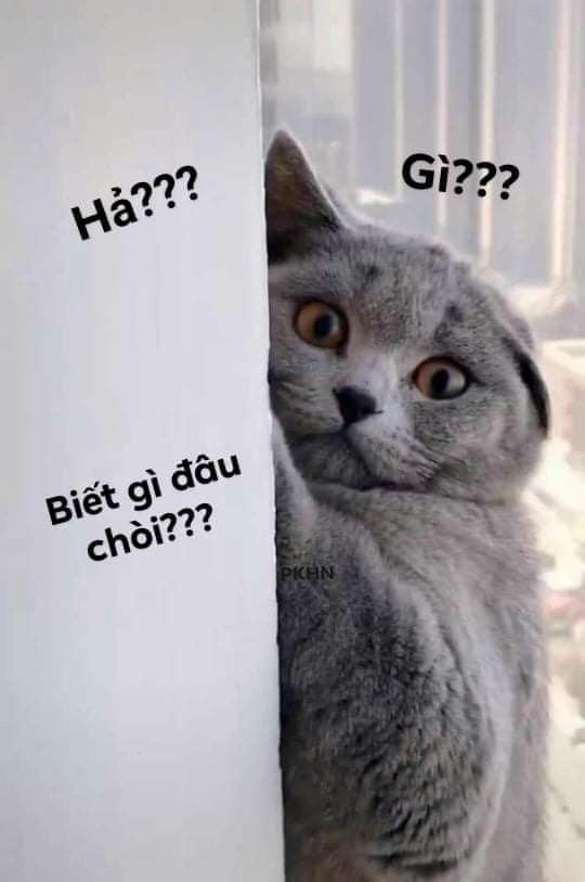 Meme ai biết gì đâu 20