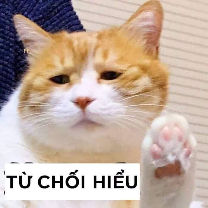 Meme bất lực 04