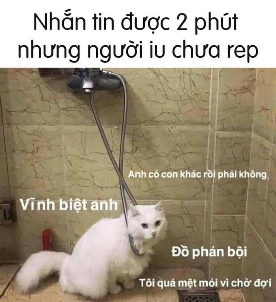 Meme chờ đợi 10