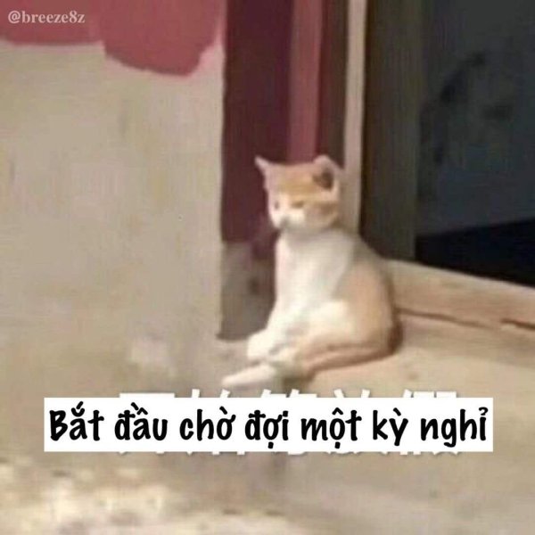 Meme chờ đợi 21