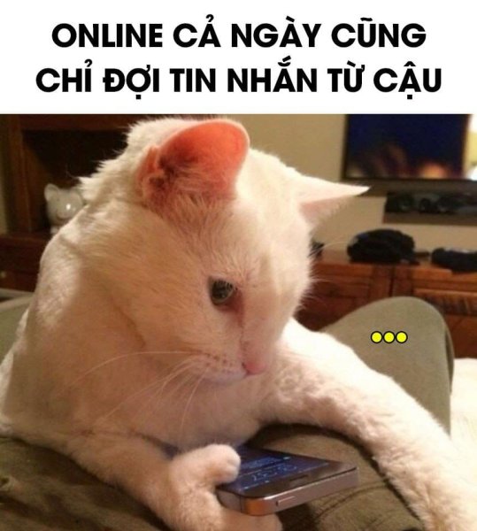 Meme chờ đợi 23