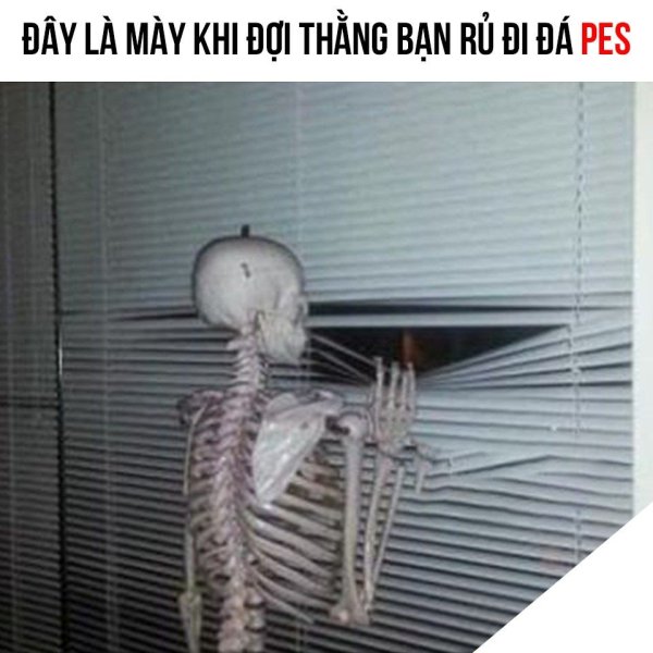 Meme chờ đợi 26