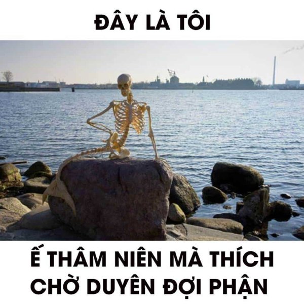 Meme chờ đợi 29