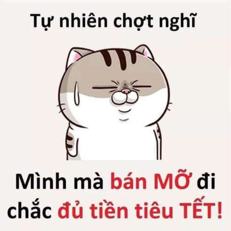 Meme chúc mừng năm mới 49